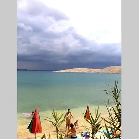 Apartment Ante Apartment